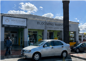 To Let Commercial Property for Rent in Elim Western Cape
